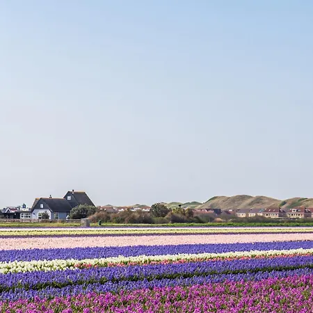 Luttikduin Nr 07 - Aan Zee * Callantsoog