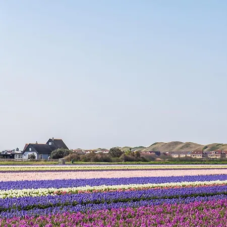 Luttikduin Nr 07 - Aan Zee Chalet Callantsoog