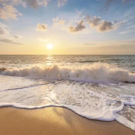 木屋 Luttikduin Nr 07 - Aan Zee